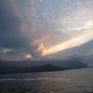 Meet your Posher, Millie